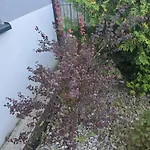 Nad Nielba 6bm2 Z Ogrodem * Wągrowiec