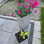 Nad Nielba 6bm2 Z Ogrodem