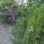 아파트 Nad Nielba 6bm2 Z Ogrodem *