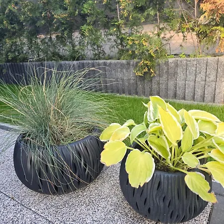 Nad Nielba 6bm2 Z Ogrodem アパート Wągrowiec