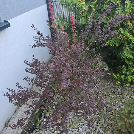 Nad Nielba 6bm2 Z Ogrodem * Wągrowiec