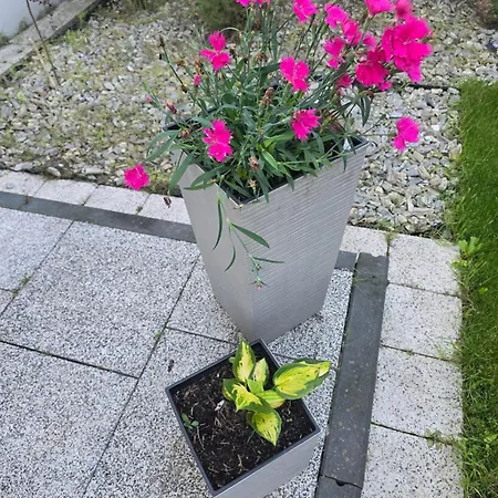 Nad Nielba 6bm2 Z Ogrodem