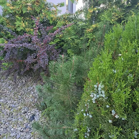 アパート Nad Nielba 6bm2 Z Ogrodem *