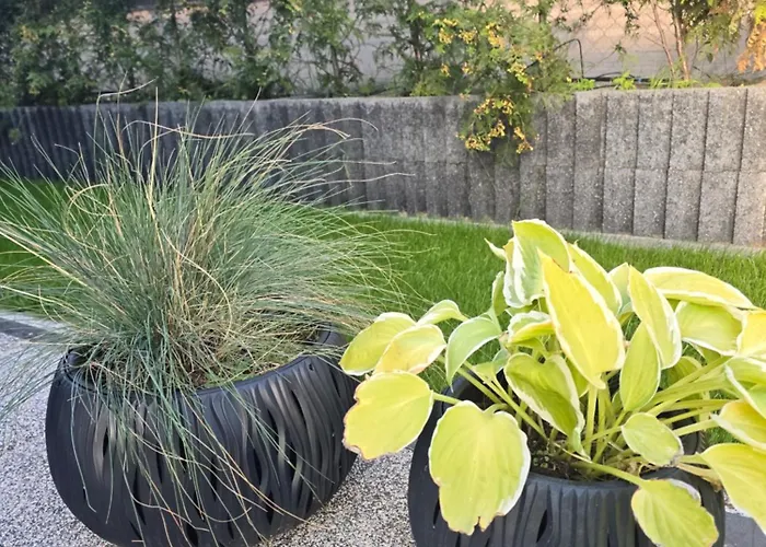 Nad Nielba 6bm2 Z Ogrodem Appartamento Wągrowiec