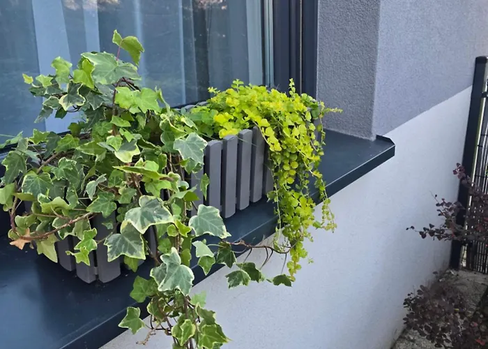 Appartamento Nad Nielba 6bm2 Z Ogrodem Wągrowiec