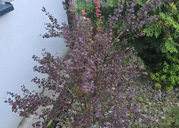 Nad Nielba 6bm2 Z Ogrodem * Wągrowiec