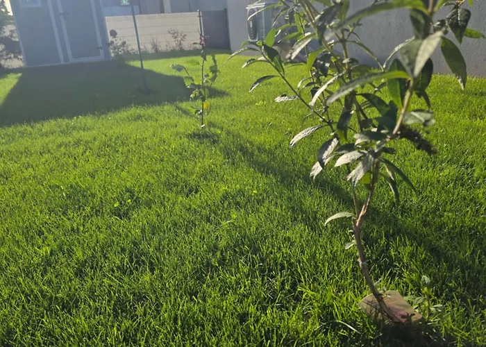 Nad Nielba 6bm2 Z Ogrodem