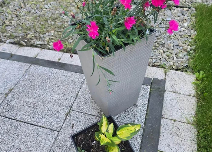 Nad Nielba 6bm2 Z Ogrodem